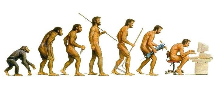 evolution-of-posture